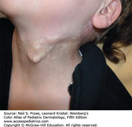 Nutritional, Metabolic, and Endocrine Diseases Diagnosis 