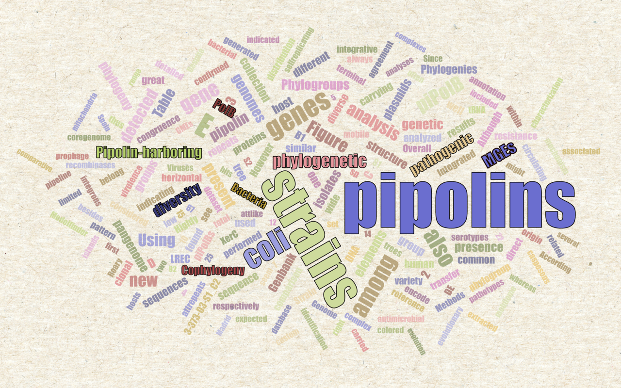 Pipolins provided an opportunity to study diversity and variability of self-replicative genetic mobile elements in circulating bacteria