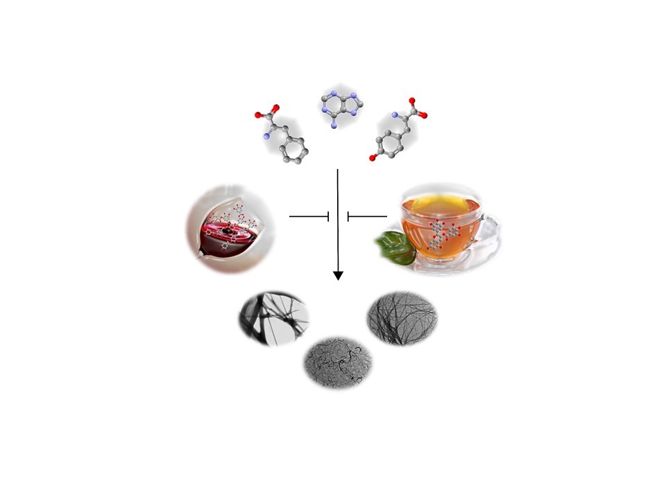 Can Wine and Green Tea help Inborn Error of Metabolism Disorders Patients?