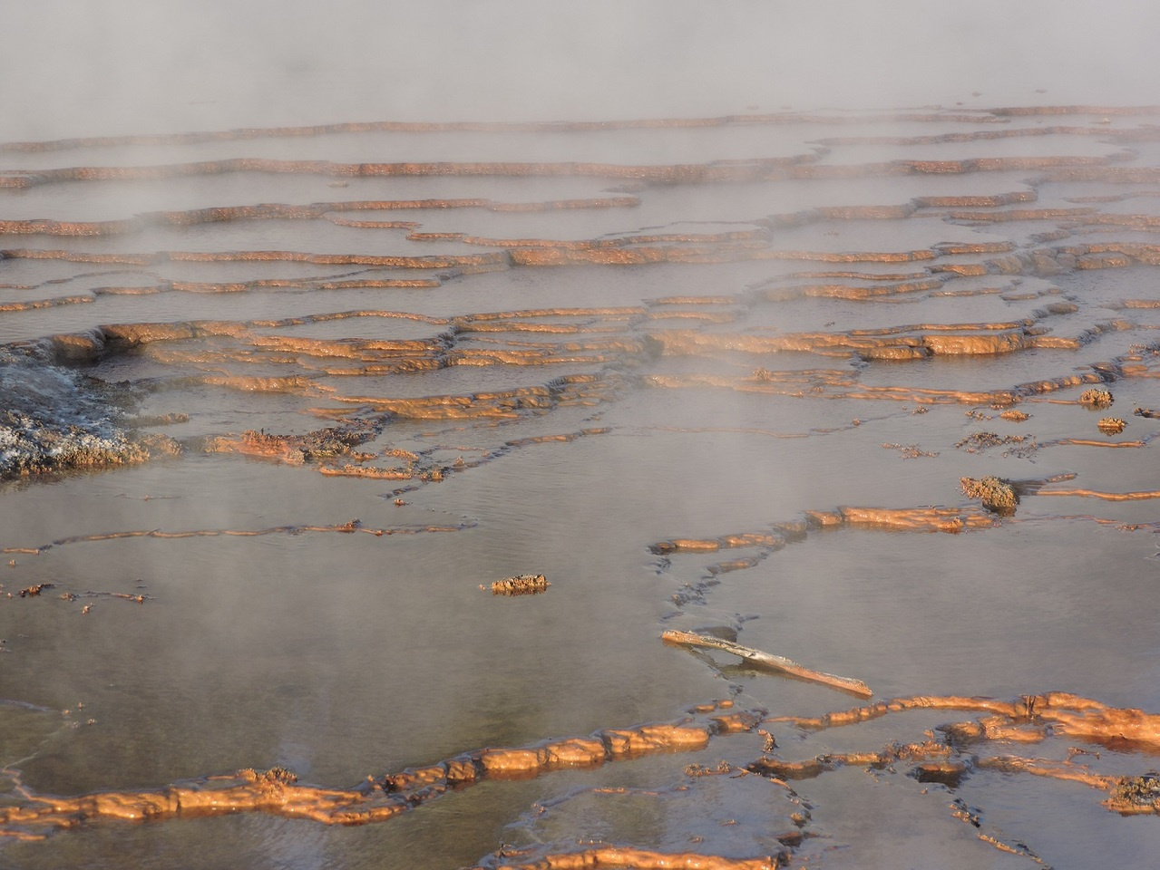 A Unique Intersection of Physicochemical Conditions Controls the Formation of Geothermal Iron Oxide Microbial Mats