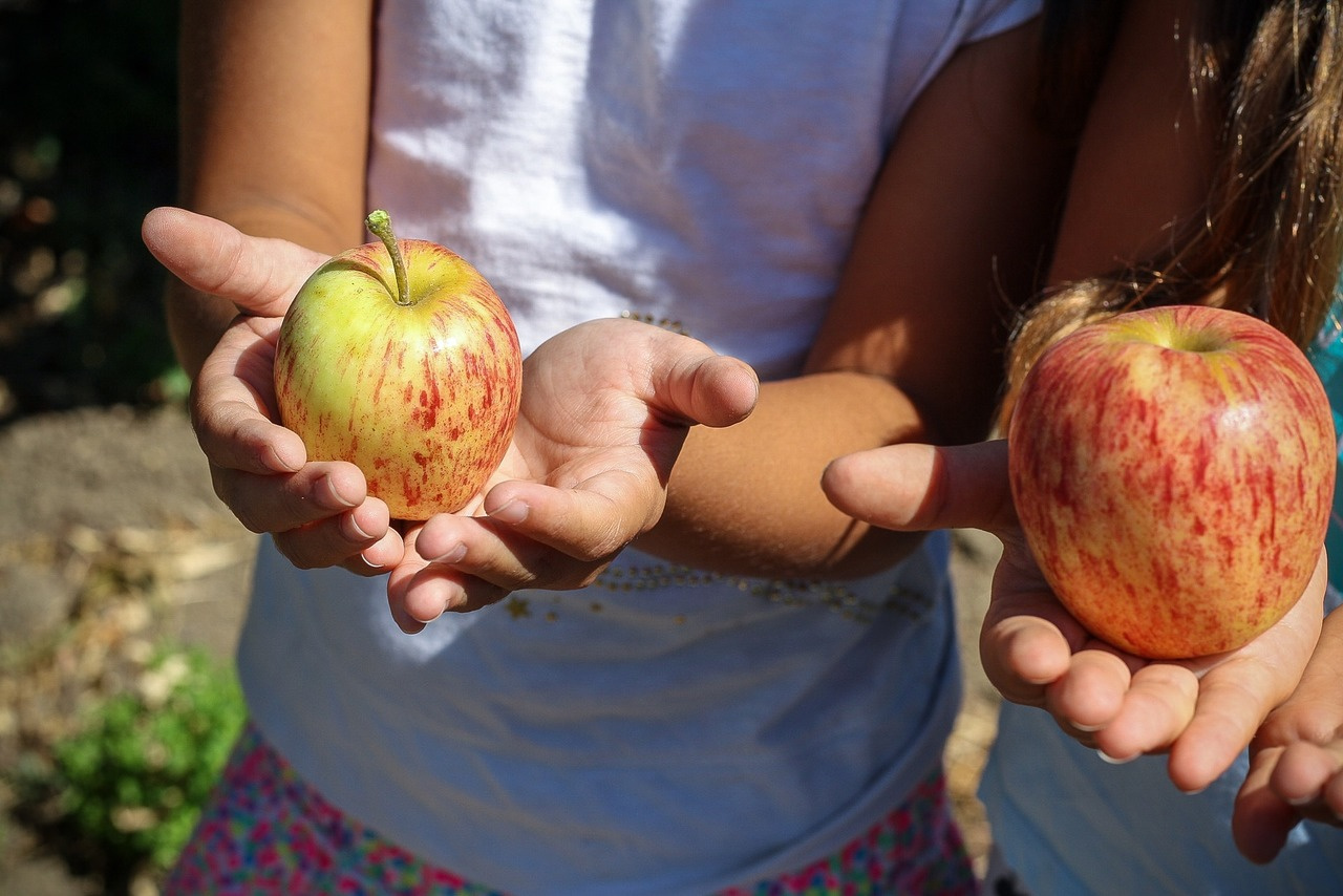 How to teach kids where food comes from – get them gardening