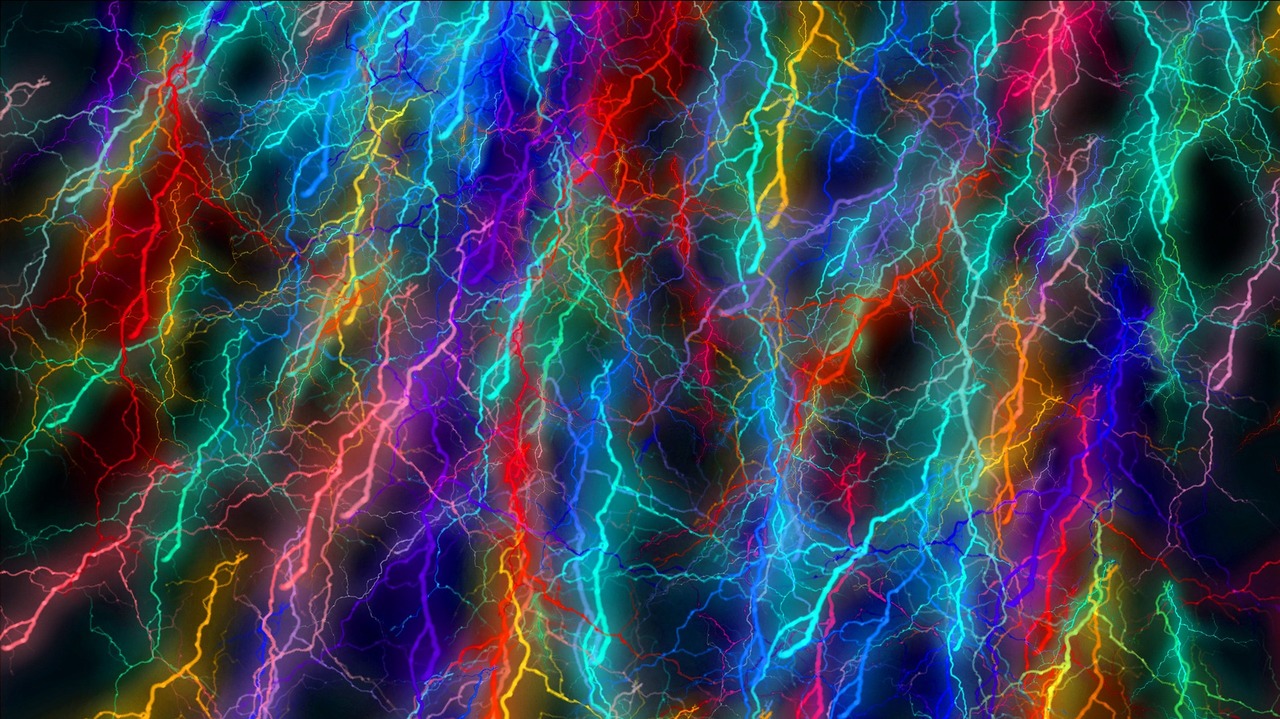 Summary - How to optimize knowledge construction in the brain