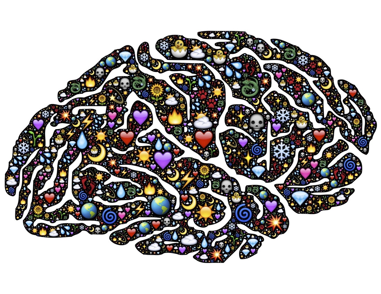 Amazing Brain Art Competition for Primary School Students