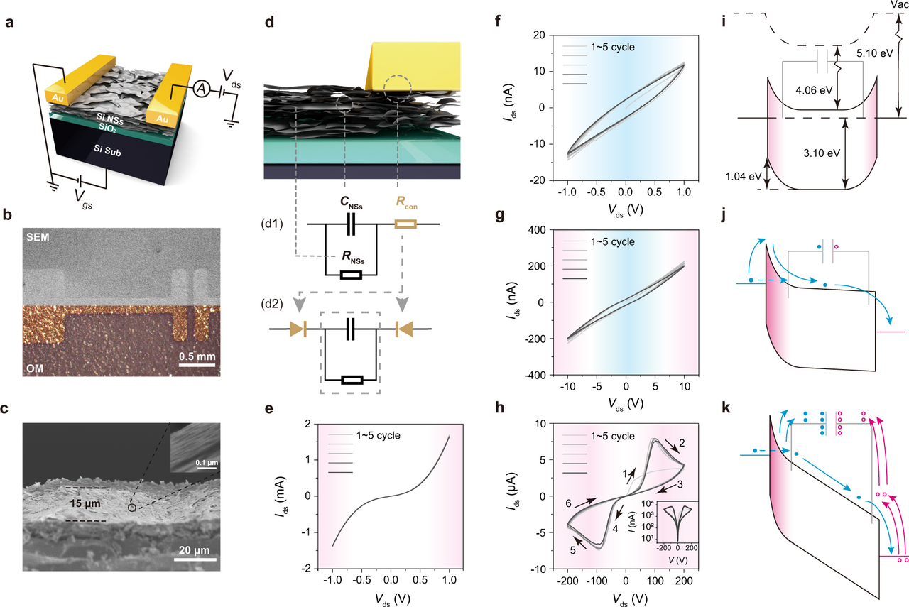 Neuromorphic device based on silicon nanosheets