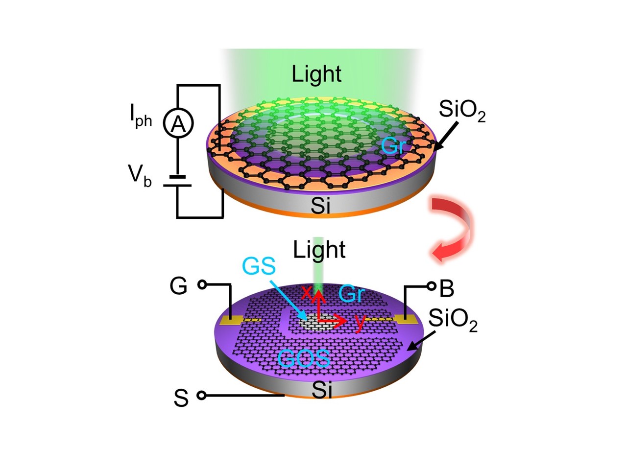 Light-induced negative differential resistance in gate-controlled graphene-silicon photodiode
