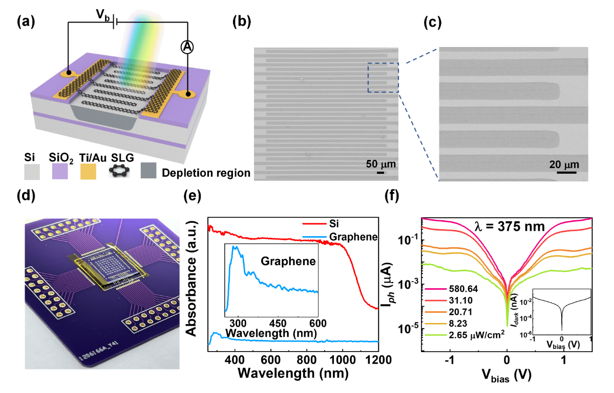 High-Performance Broadband Graphene/Silicon/Graphene Photodetectors: from X-ray to Near-Infrared