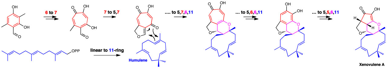 Ring out the old....