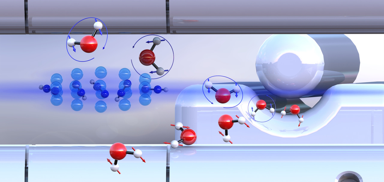 Different chemical reactivities of para- and ortho-water toward trapped diazenylium ions
