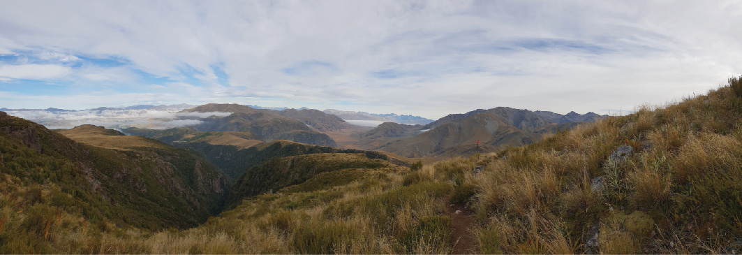 Insights from a Visiting Fellowship at The University of Canterbury, New Zealand