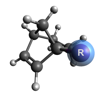 Complementary arene functionalization: new norbornenes open a window
