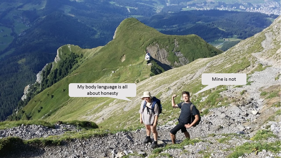 Why do most species have so few mating types, yet some have so many?