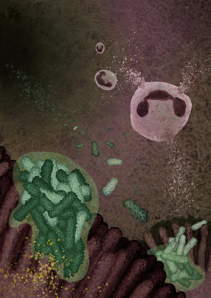 The trade-offs and complexities of diversity in chronic bacterial infections