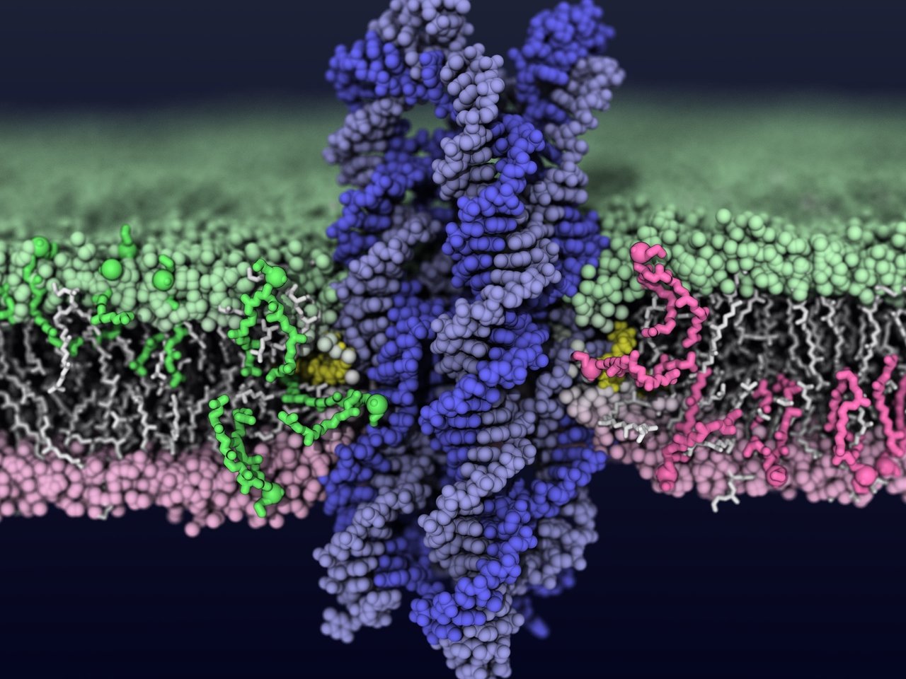 Outperforming nature using DNA origami