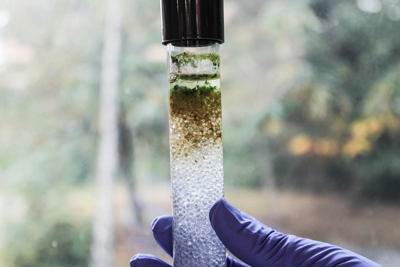 Bringing nature into the lab