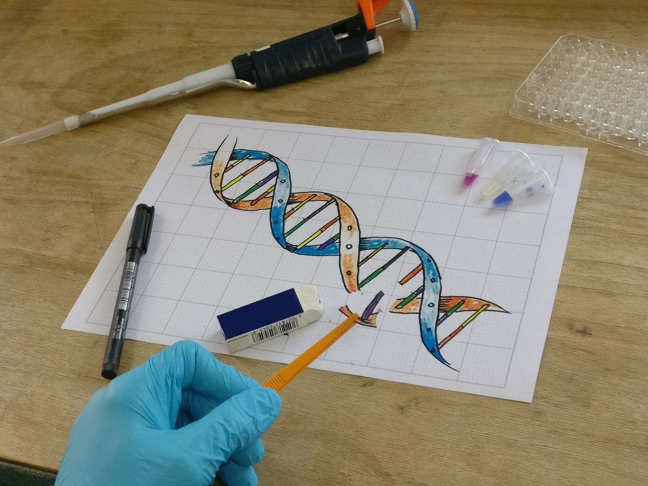 A simplified CRISPR for off-the-shelf genome editing