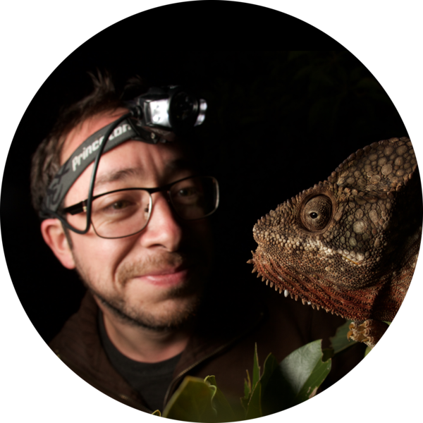 Go to the profile of Lawrence Reeves