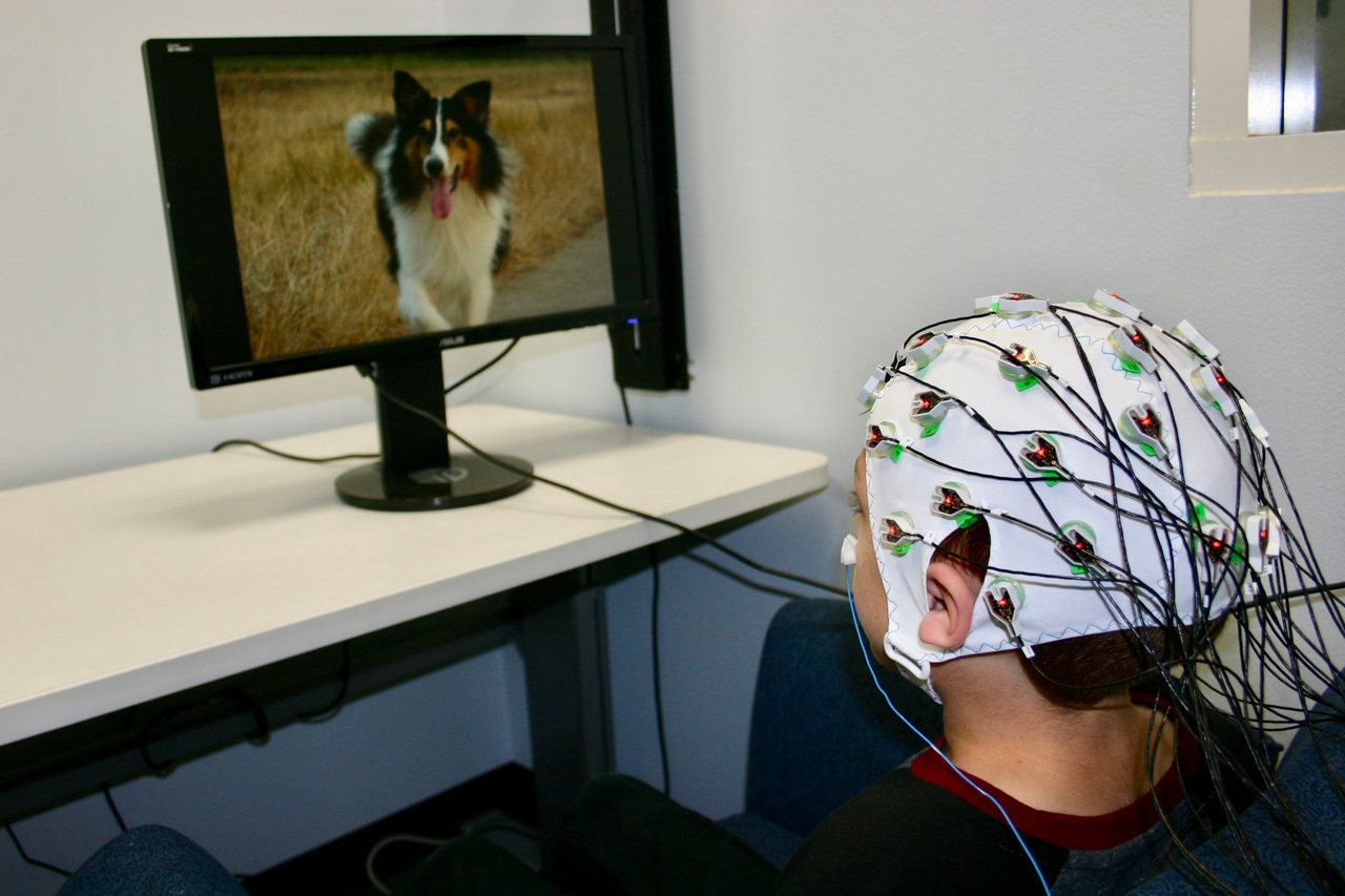 How neuroscience can help us understand autism.