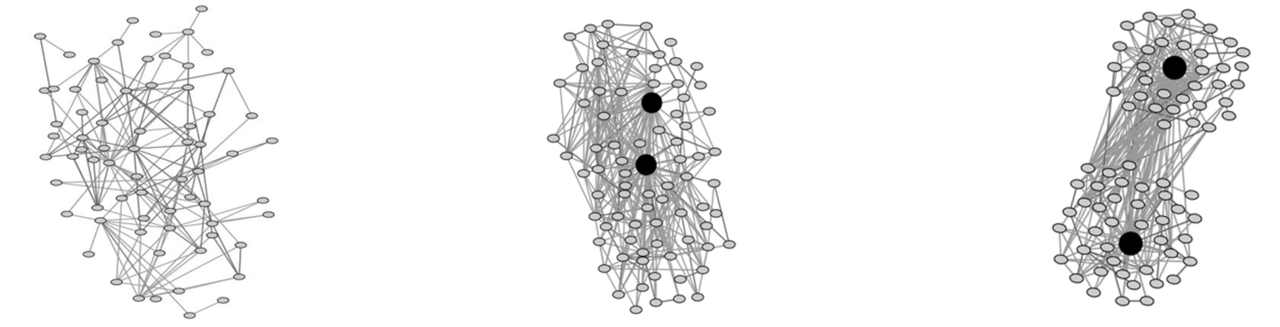 Key players in the microbial world