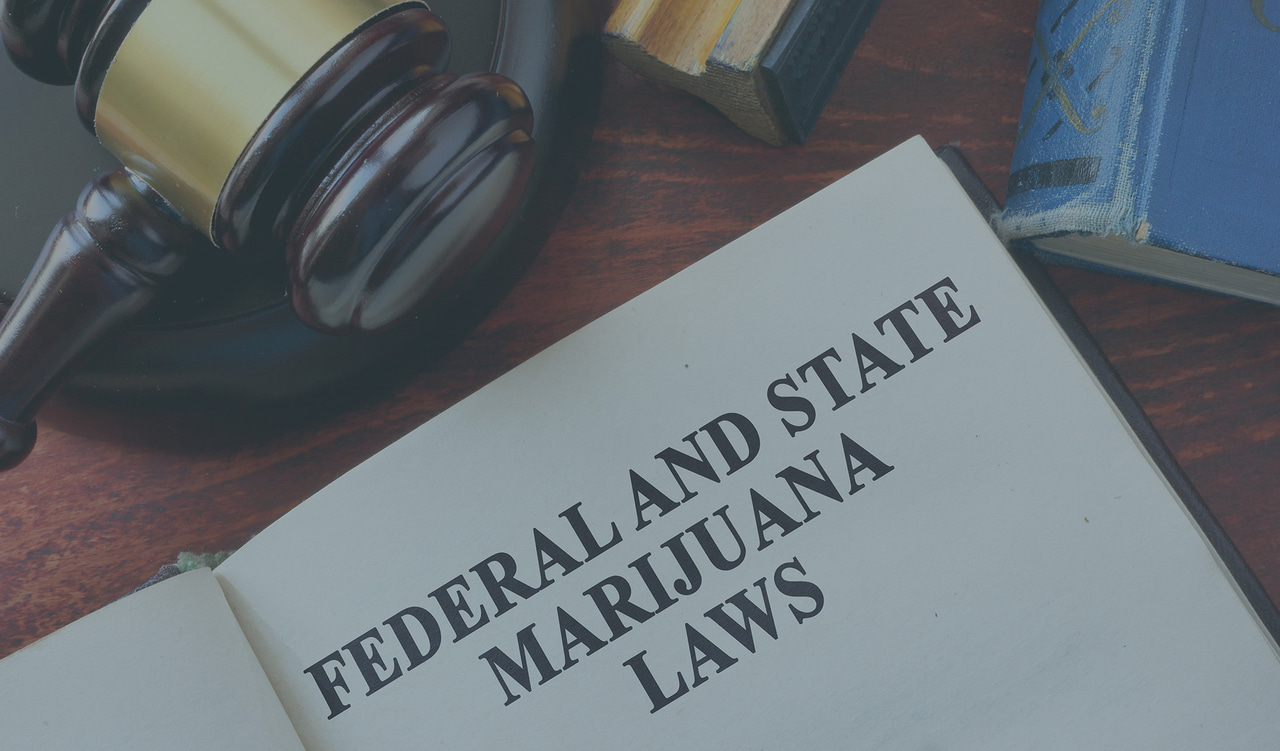 UNITED STATES – Marijuana legalization and immigration: facts for foreign nationals