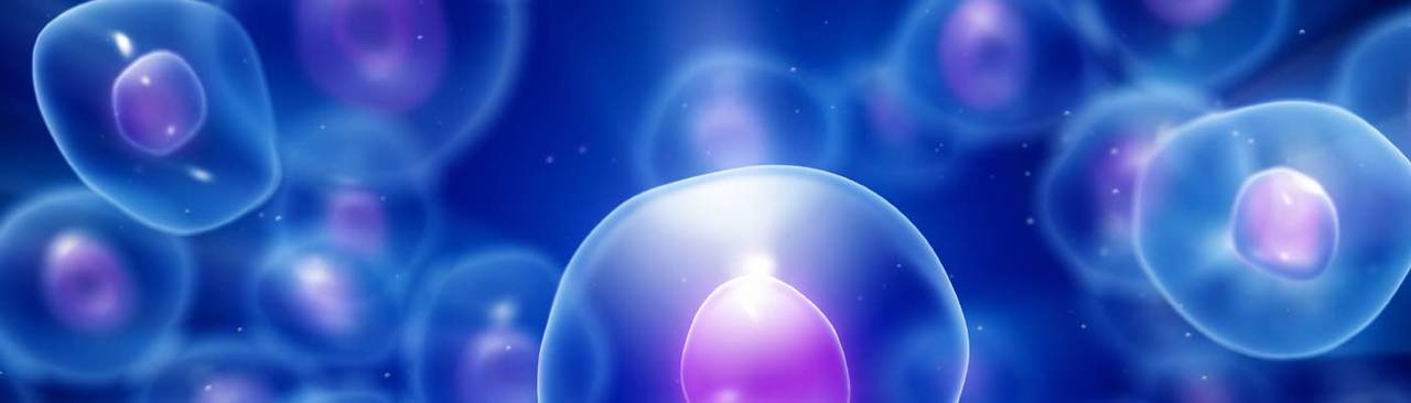 Free Collection: New Cell Lines