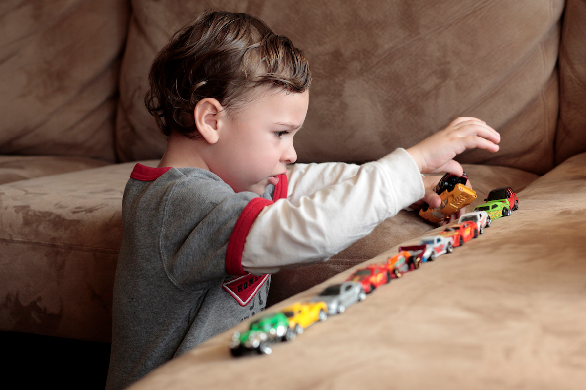 The causes and genetics of autism
