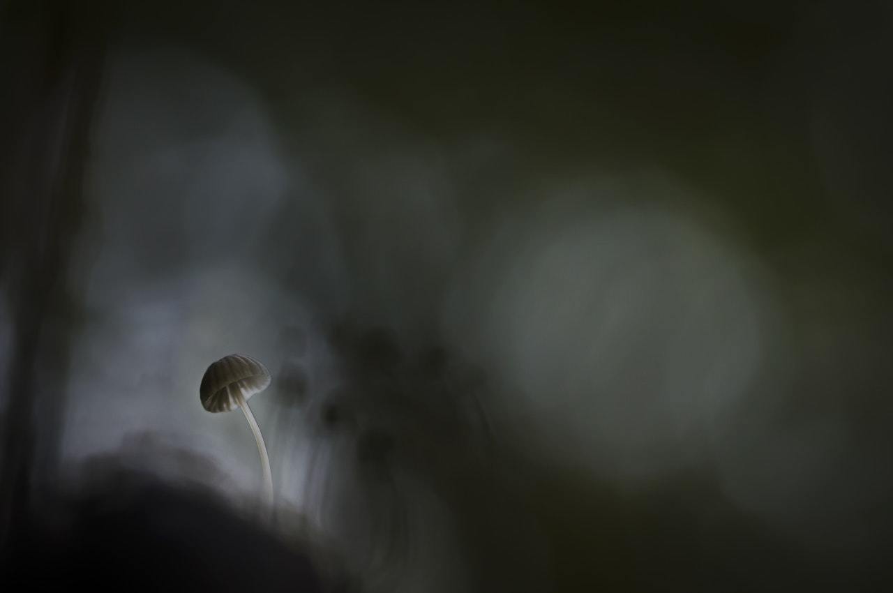 Journal Club: Promising class of compounds as inhibitors of biofilm formation