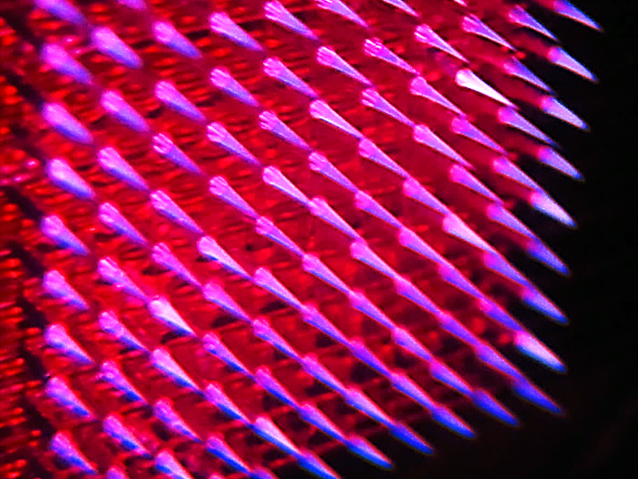 Drinking water: fighting biofilms with plasma jets