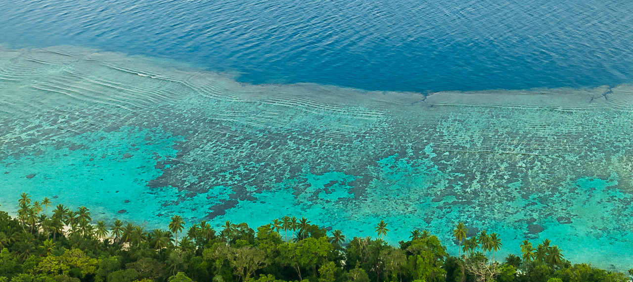 Hunting for a solution