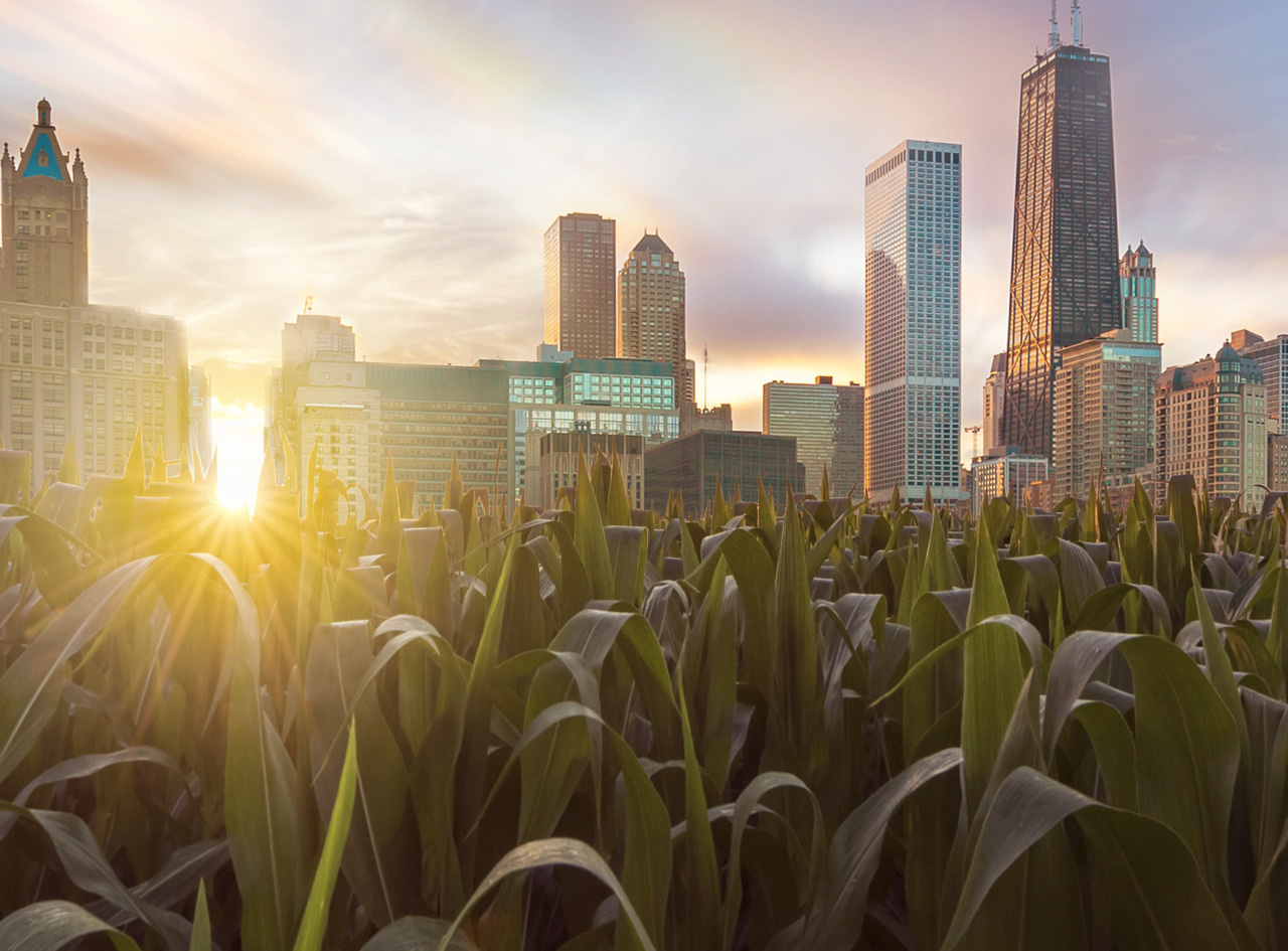 Closing nutrient loops between urban sanitation and regional agriculture