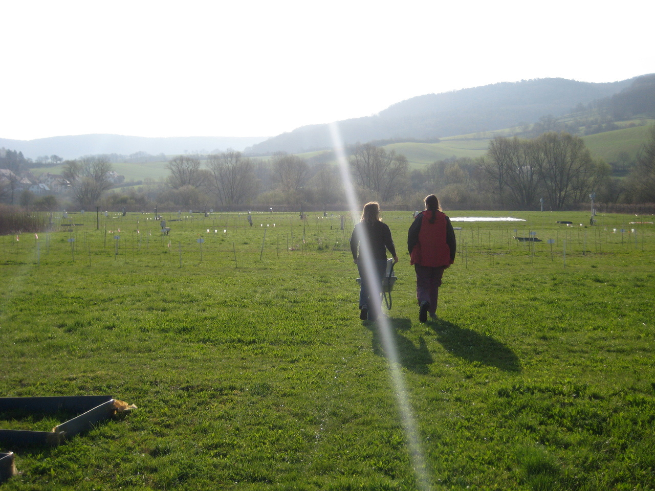 Biodiversity, an elixir?