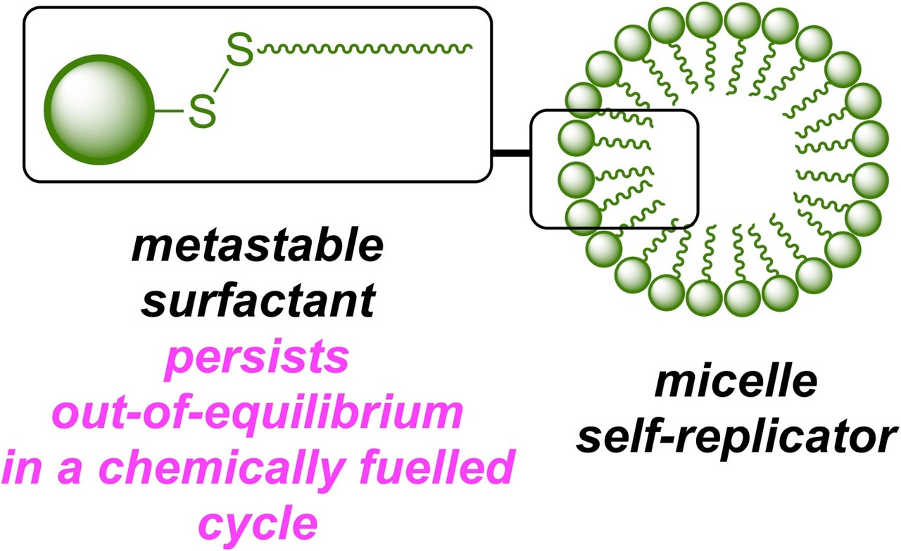 A Chemically Fuelled Self-Replicator