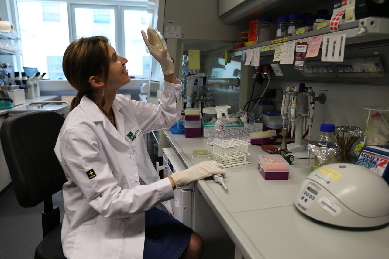 Evolution of gene regulatory connections – Another lesson learned from phages