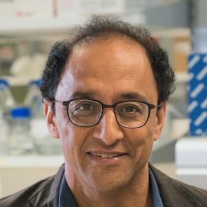 Go to the profile of Pankaj Sah