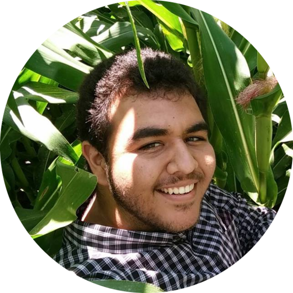 Go to the profile of Alonso Favela