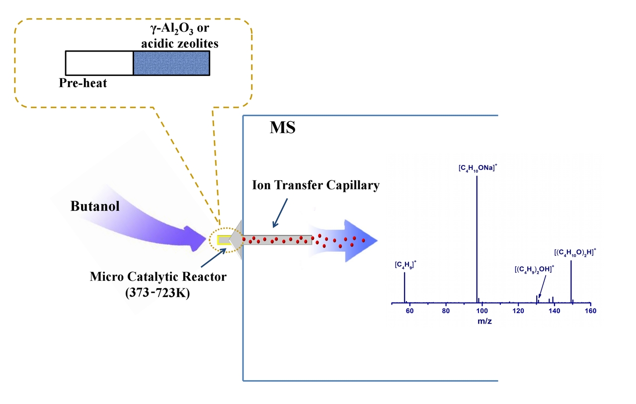Short-lived cationic species profiling by mass spectrometry