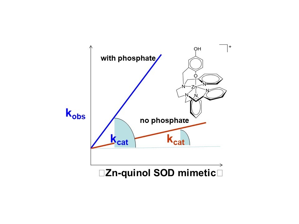 A New Strategy to Alleviate Oxidative Stress
