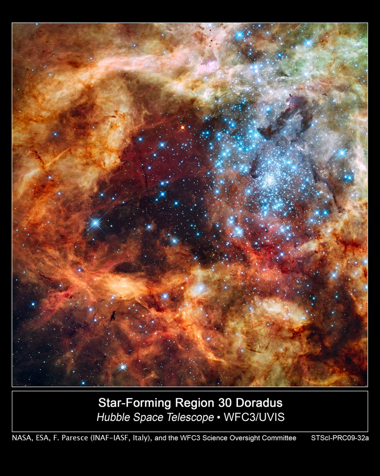 The Tug-of-War between Stellar Feedback and Gravity in Star-Forming Regions