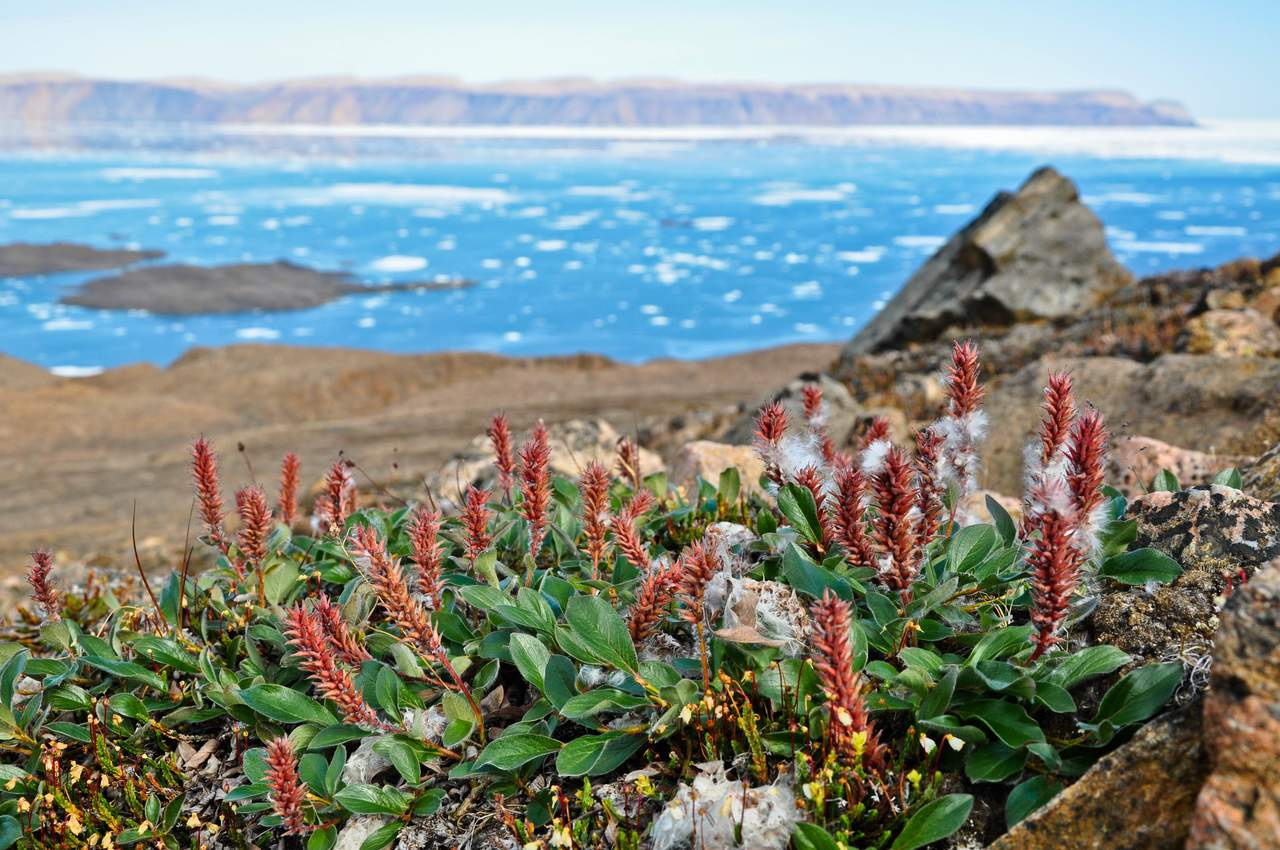 It takes a global village to write one paper  – and nearly 20,000 hours of work to collect the data!