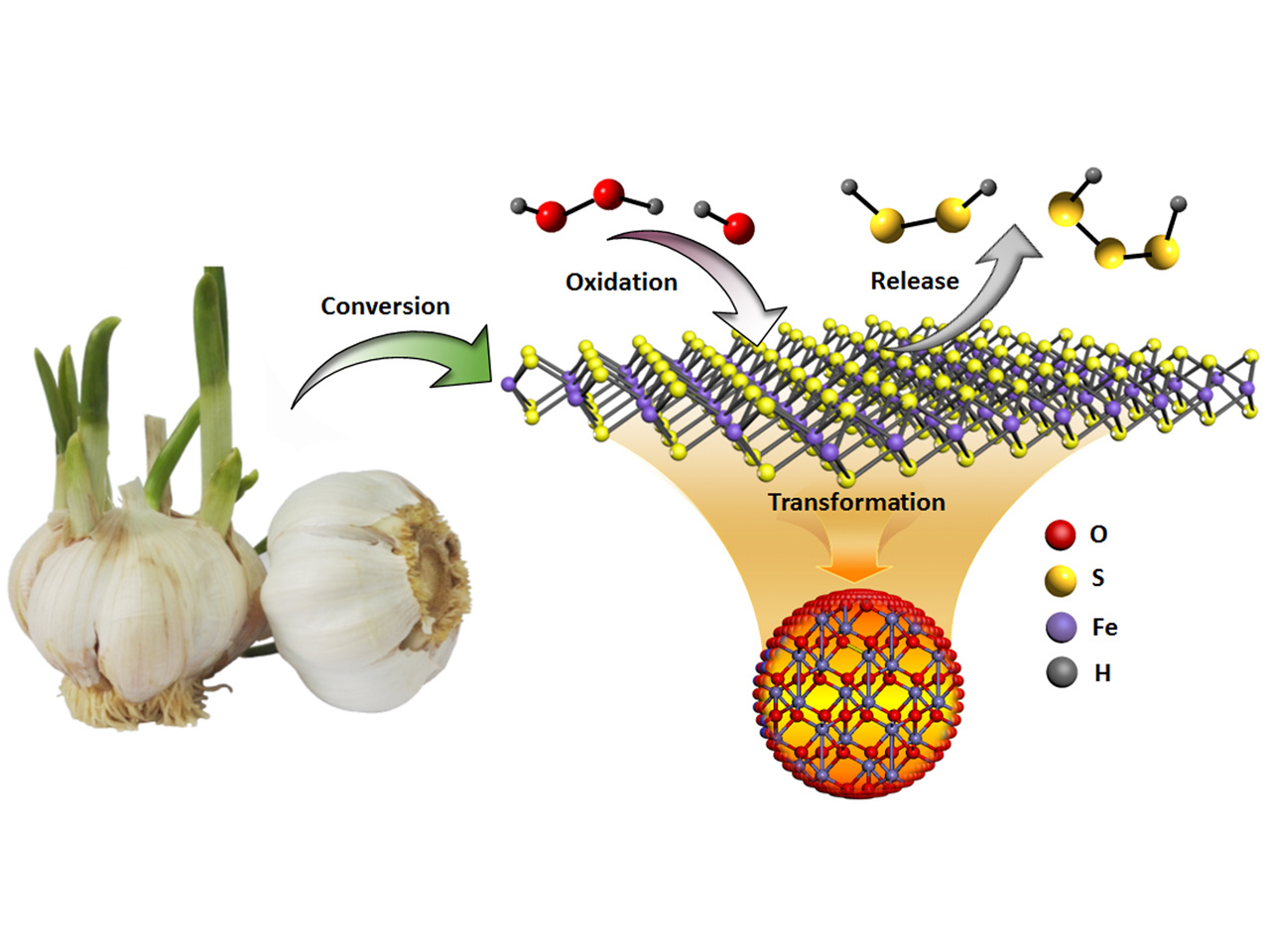 Converting natural substances into antibacterial nanosulfides: A nanotransformation strategy