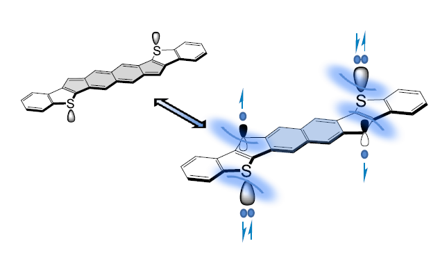 A (Di)Radically New Molecule