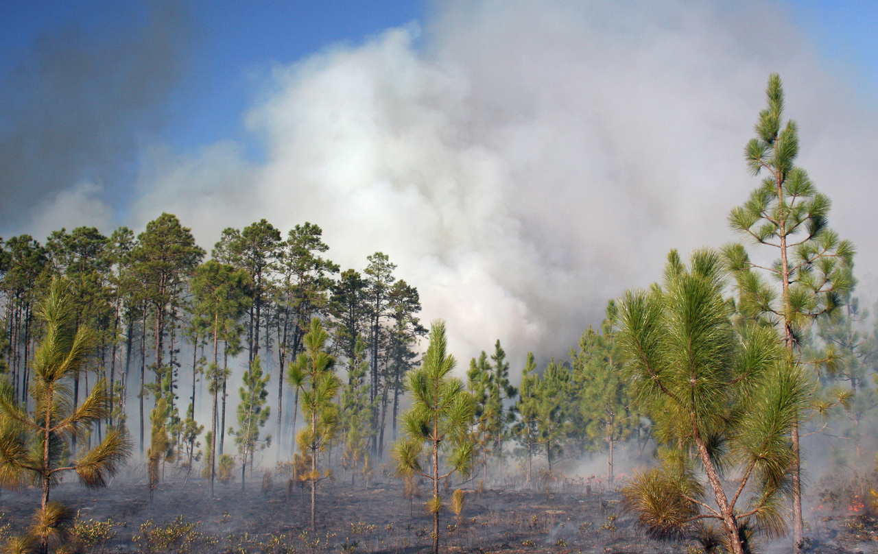 Required rethink on what is evidence