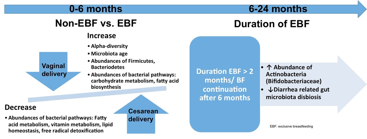 Meta-analysis of effects of exclusive breastfeeding on infant gut microbiota across populations