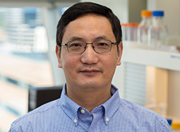 Go to the profile of Huilin Li