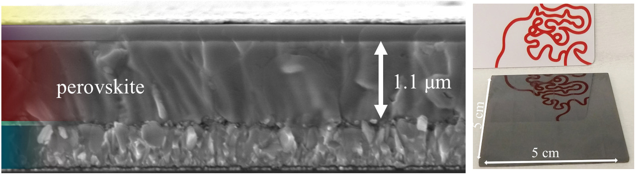 Gas-solid reaction based over one-micrometer thick stable perovskite films for efficient solar cells and modules