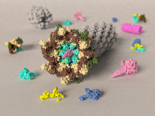 Building the blocks of a bacterial weapon