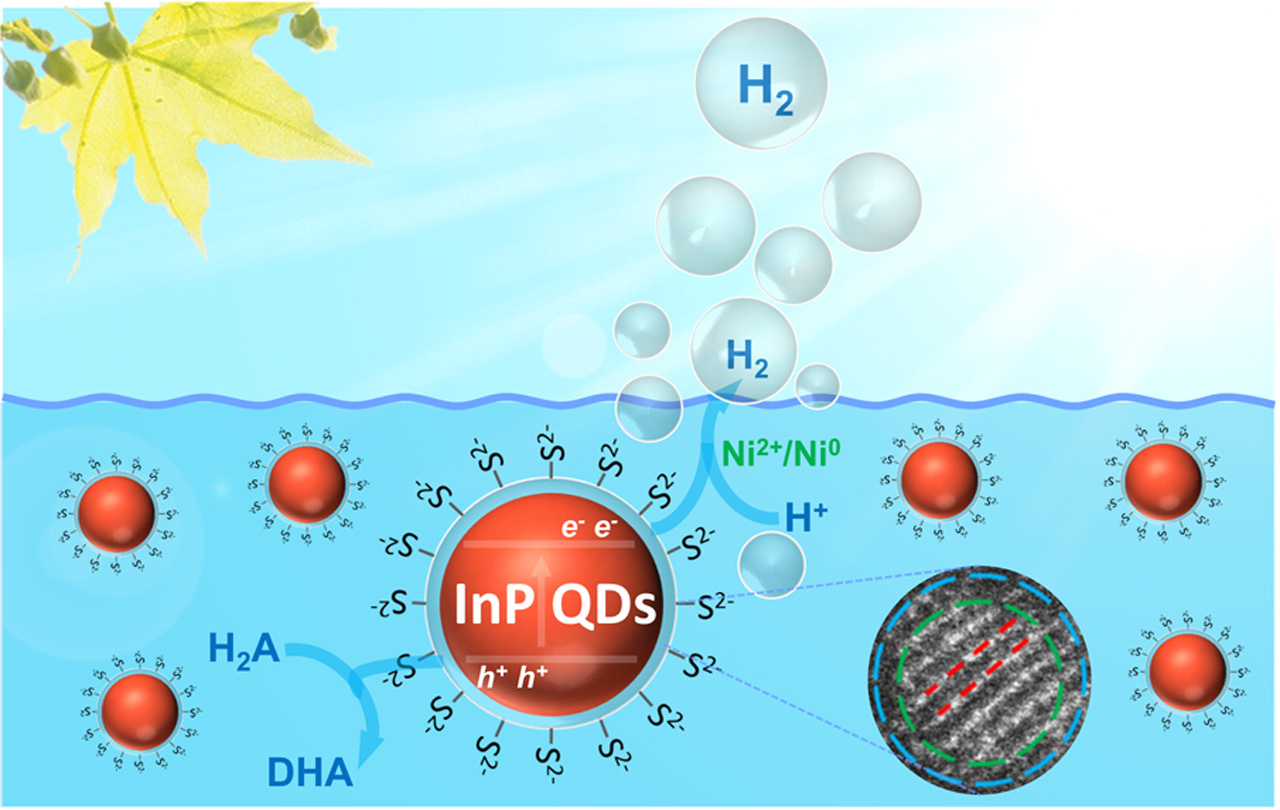 Little quantum dots paving a bright way to artificial photosynthesis