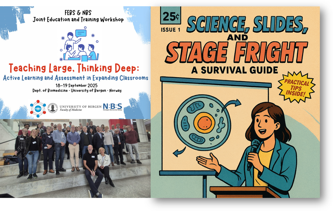 The Art of Connection: Lessons from the Bergen Workshop