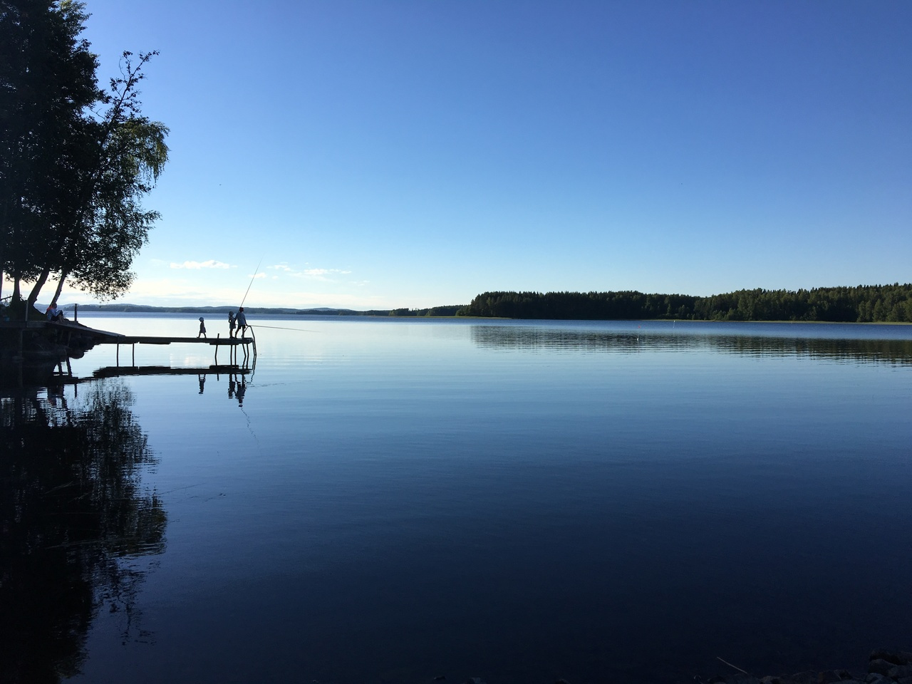 The research avenues NOT taken