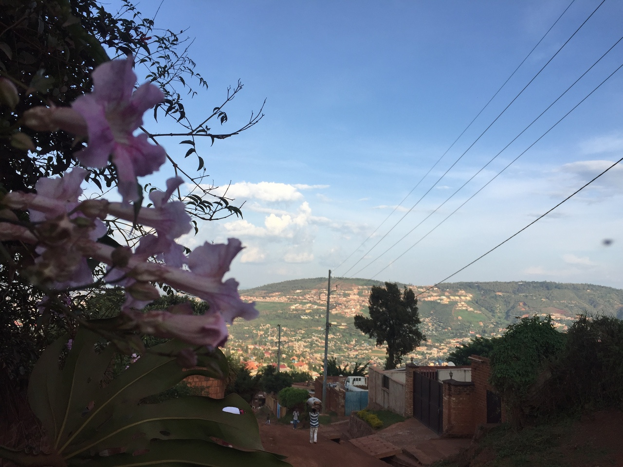 Shining a Light on Electricity Reliability in Sub-Saharan Africa