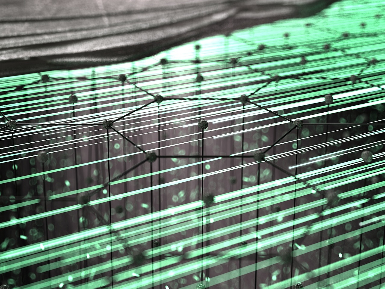 Topology at Cyberspeed